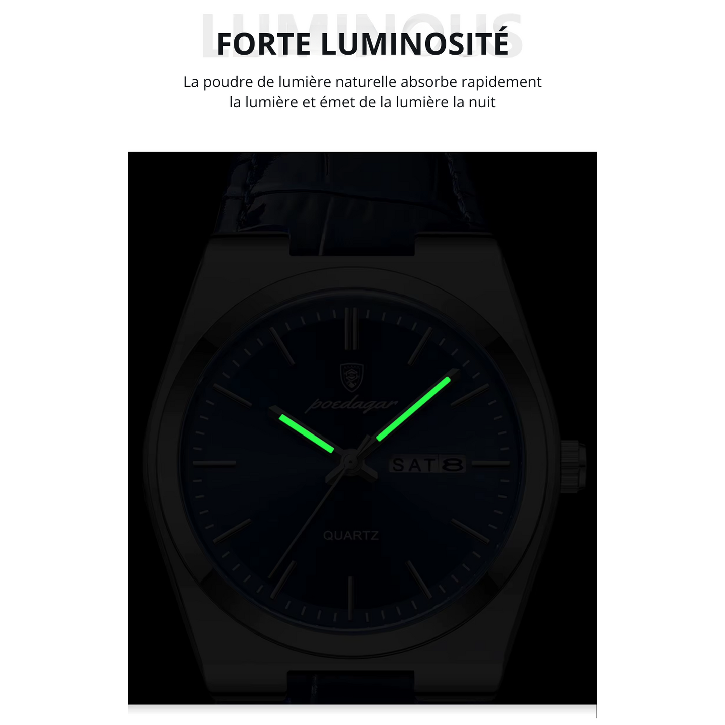 Montre de Luxe POEDAGAR – Élégance, Fiabilité et Confort au Poignet